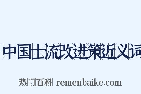 中国士流改进策近义词是什么意思的图片
